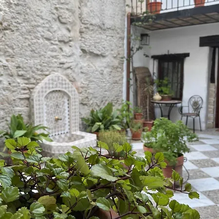 Jerez Siglo Xix *